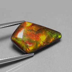 8.80 ct Multicolor Ammolite Stone, Natural Ammolite in Fancy Cabochon Shape for Sale