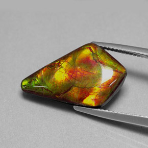 Ammolite Gemstone in 21.5 x 13.1 mm Size for Sale, Ammolite Stone in Multicolor Color