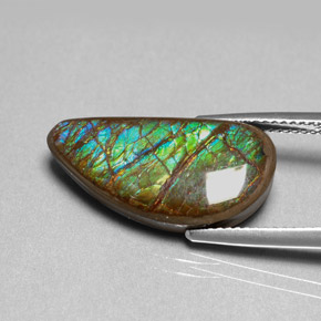 9.39 ct Multicolor Ammolite Gemstone, Ammolite Gem in Fancy Cabochon Shape for Sale.