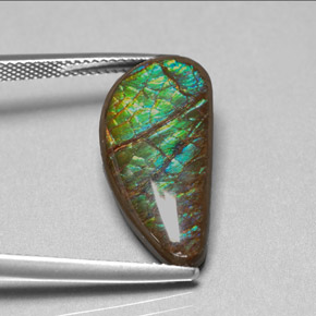 9.39 ct Multicolor Ammolite Stone, Natural Ammolite in Fancy Cabochon Shape for Sale