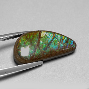 Ammolite Gemstone in 21.7 x 10.7 mm Size for Sale, Ammolite Stone in Multicolor Color