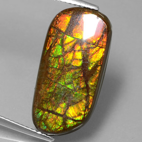 9.77 ct Multicolor Ammolite Gemstone, Ammolite Gem in Fancy Cabochon Shape for Sale.