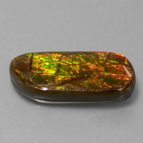 9.77 ct Multicolor Ammolite Stone, Natural Ammolite in Fancy Cabochon Shape for Sale