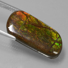 Ammolite Gemstone in 21.6 x 10.9 mm Size for Sale, Ammolite Stone in Multicolor Color