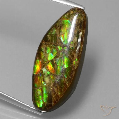 9.86ct Natural Multicolor Ammolite, Fancy, Opaque