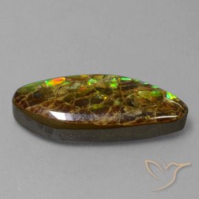 9.86 ct Multicolor Ammolite Stone, Natural Ammolite in Fancy Cabochon Shape for Sale