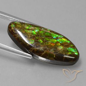 Ammolite Gemstone in 23.6 x 10 mm Size for Sale, Ammolite Stone in Multicolor Color