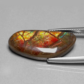 9.95 ct Multicolor Ammolite Gemstone, Ammolite Gem in Fancy Cabochon Shape for Sale.
