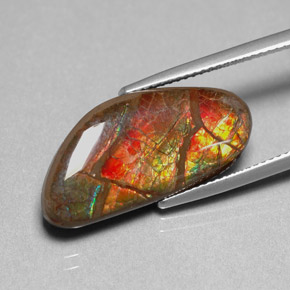 9.95 ct Multicolor Ammolite Stone, Natural Ammolite in Fancy Cabochon Shape for Sale