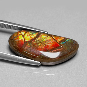 Ammolite Gemstone in 24.3 x 11.4 mm Size for Sale, Ammolite Stone in Multicolor Color