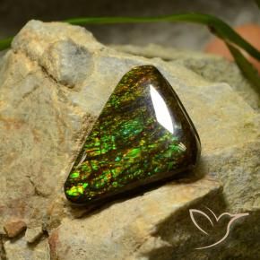 10.34 ct Multicolor Ammolite Stone, Natural Ammolite in Trillion Cabochon Shape for Sale