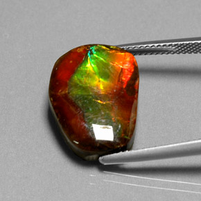 10.55 ct Multicolor Ammolite Stone, Natural Ammolite in Fancy Cabochon Shape for Sale