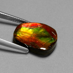 Ammolite Gemstone in 17.6 x 13.2 mm Size for Sale, Ammolite Stone in Multicolor Color
