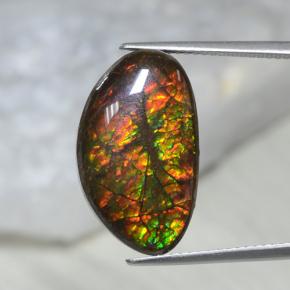 Multicolor Ammolite Gem - 10.7ct Fancy Cabochon (ID: 295274)