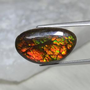 10.69 ct Multicolor Ammolite Stone, Natural Ammolite in Fancy Cabochon Shape for Sale