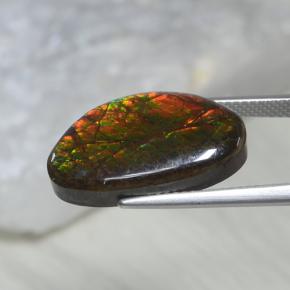 Ammolite Gemstone in 20 x 12.1 mm Size for Sale, Ammolite Stone in Multicolor Color