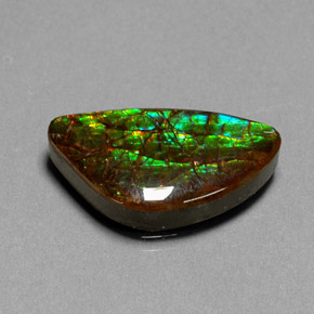 11.25 ct Multicolor Ammolite Gemstone, Ammolite Gem in Fancy Cabochon Shape for Sale.