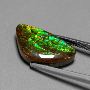Ammolite Gemstone in 21.6 x 12 mm Size for Sale, Ammolite Stone in Multicolor Color