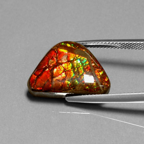11.49 ct Multicolor Ammolite Gemstone, Ammolite Gem in Fancy Cabochon Shape for Sale.