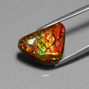 11.49 ct Multicolor Ammolite Stone, Natural Ammolite in Fancy Cabochon Shape for Sale