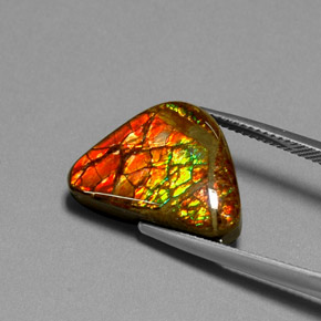 Ammolite Gemstone in 19.1 x 13.8 mm Size for Sale, Ammolite Stone in Multicolor Color