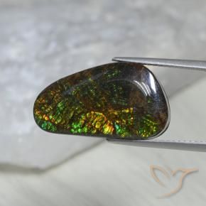 11.60 ct Multicolor Ammolite Stone, Natural Ammolite in Shark Fin Cabochon Shape for Sale