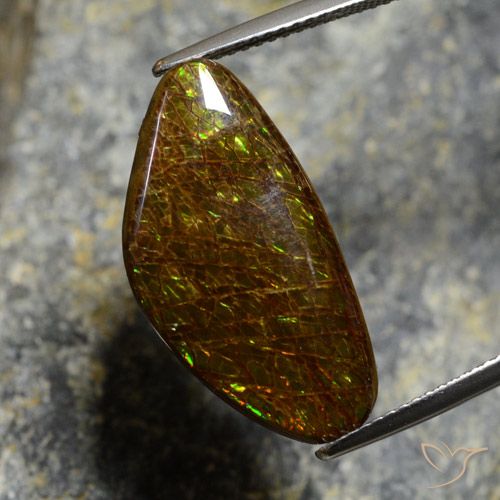 11.88ct Natural Multicolor Ammolite, Fancy, Opaque