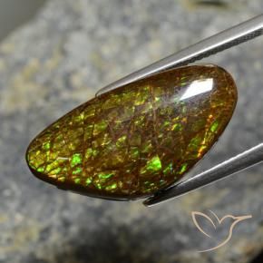 11.88 ct Multicolor Ammolite Stone, Natural Ammolite in Fancy Cabochon Shape for Sale