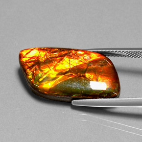 11.92 ct Multicolor Ammolite Gemstone, Ammolite Gem in Fancy Cabochon Shape for Sale.