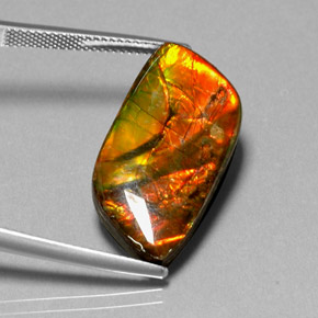 11.92 ct Multicolor Ammolite Stone, Natural Ammolite in Fancy Cabochon Shape for Sale