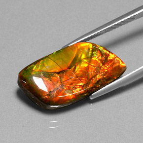 Ammolite Gemstone in 25.8 x 12.9 mm Size for Sale, Ammolite Stone in Multicolor Color