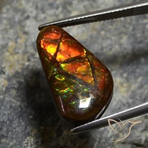 11.96 ct Multicolor Ammolite Stone, Natural Ammolite in Fancy Cabochon Shape for Sale