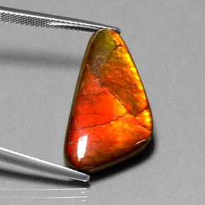 12.20 ct Multicolor Ammolite Stone, Natural Ammolite in Fancy Cabochon Shape for Sale