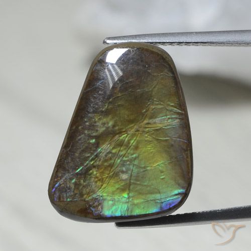 Ammolite Multicolore Fantaisie 12,08 ct du Canada, Dimension 18,8x14,3 mm, Pierre gemme naturelle assemblé, pureté Opaque , 1 pièce d'ammolite fancy cabochon, dureté de Mohs de 4 à 4, Photo A