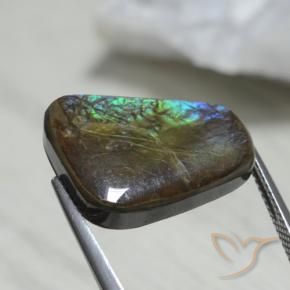 Ammolite Gemstone in 18.8 x 14.3 mm Size for Sale, Ammolite Stone in Multicolor Color