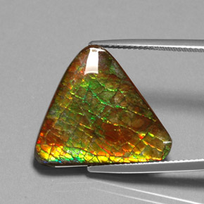 12.71 ct Multicolor Ammolite Stone, Natural Ammolite in Fancy Cabochon Shape for Sale