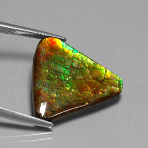 Ammolite Gemstone in 22.2 x 19.9 mm Size for Sale, Ammolite Stone in Multicolor Color