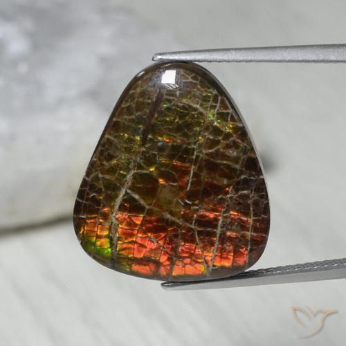 Ammolite Multicolore fancy cabochon 19,3x17,2 mm du Canada, poids de 13,62 ct, pierre gemme naturelle assemblé de pureté Opaque , 1 pièce d'ammolite, couleur : Multicolore, dureté de Mohs de 4 à 4, Photo A