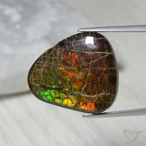 13.62 ct Multicolor Ammolite Stone, Natural Ammolite in Fancy Cabochon Shape for Sale