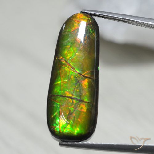13.66ct Natural Multicolor Ammolite, Fancy, Opaque