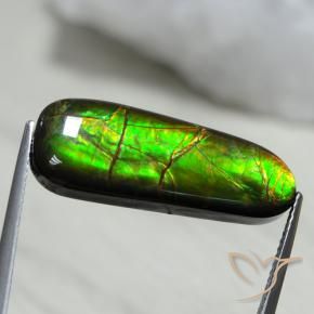 13.66 ct Multicolor Ammolite Stone, Natural Ammolite in Fancy Cabochon Shape for Sale