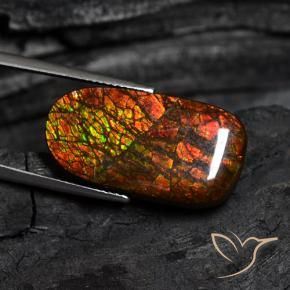 Ammolite Gemstone in 24.6 x 13.3 mm Size for Sale, Ammolite Stone in Multicolor Color