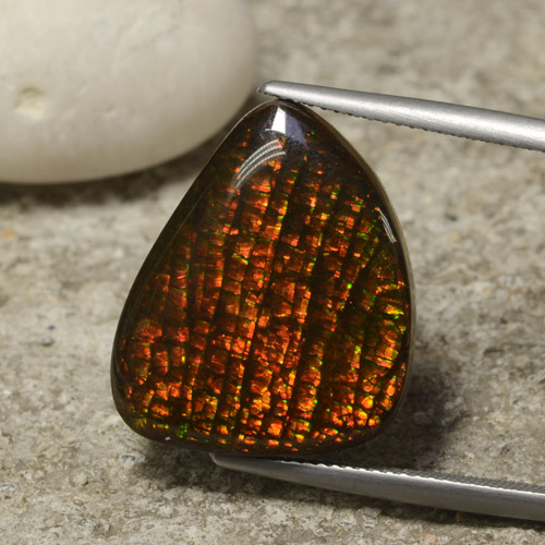 Multicolor Ammolite Gem - 14.3ct Shark Fin Cabochon (ID: 295292)