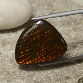14.29 ct Multicolor Ammolite Stone, Natural Ammolite in Shark Fin Cabochon Shape for Sale