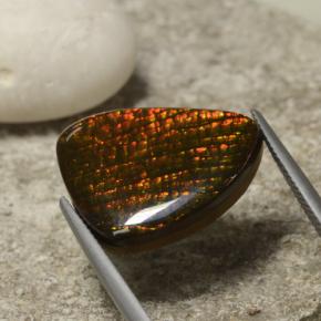 Ammolite Gemstone in 21.5 x 17.3 mm Size for Sale, Ammolite Stone in Multicolor Color