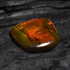 15.89 ct Multicolor Ammolite Stone, Natural Ammolite in Fancy Cabochon Shape for Sale