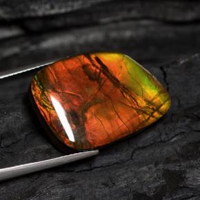 Ammolite Gemstone in 21.1 x 17.4 mm Size for Sale, Ammolite Stone in Multicolor Color