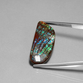 16.86 ct Multicolor Ammolite Stone, Natural Ammolite in Fancy Cabochon Shape for Sale