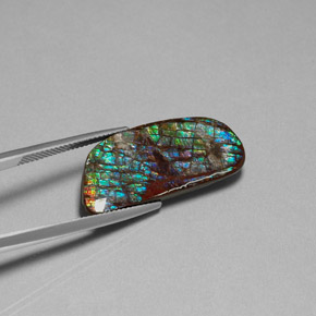 Ammolite Gemstone in 28.8 x 13 mm Size for Sale, Ammolite Stone in Multicolor Color
