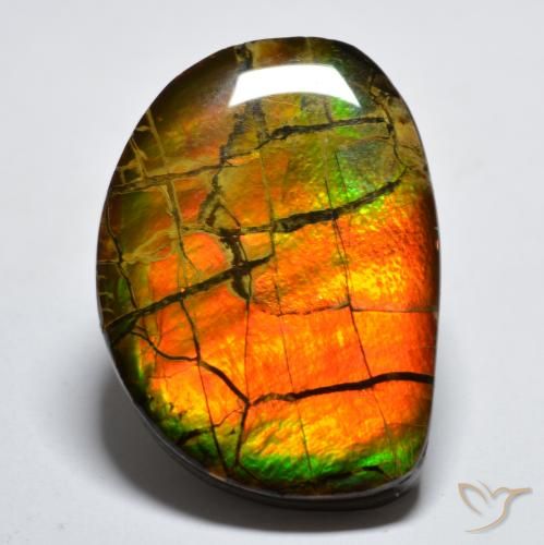 17.11ct Natural Multicolor Ammolite, Fancy, Opaque